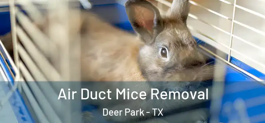  Air Duct Mice Removal Deer Park - TX