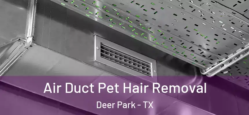  Air Duct Pet Hair Removal Deer Park - TX