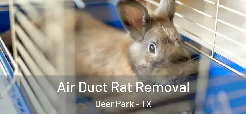 Air Duct Rat Removal Deer Park - TX