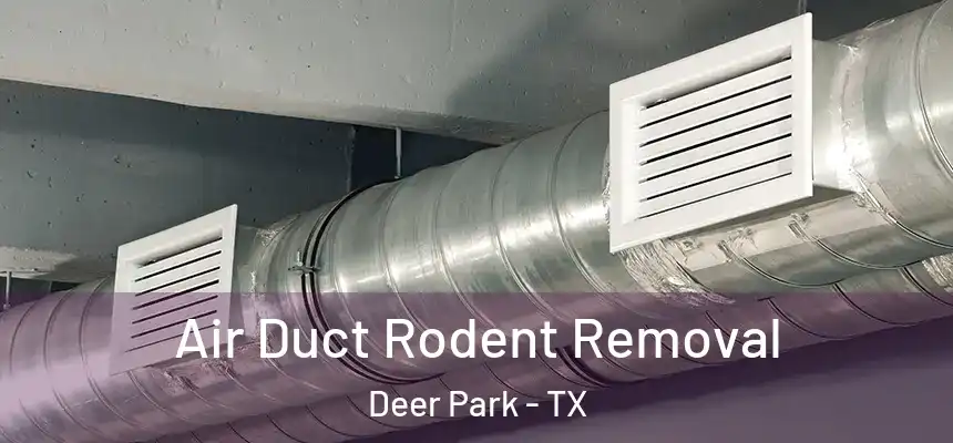 Air Duct Rodent Removal Deer Park - TX