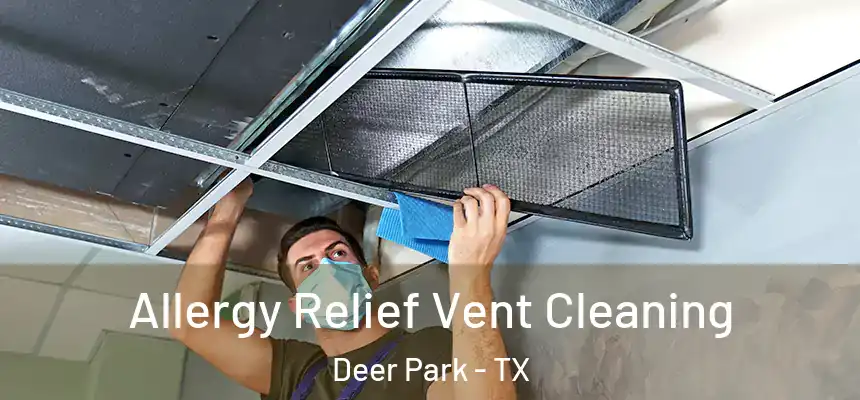 Allergy Relief Vent Cleaning Deer Park - TX
