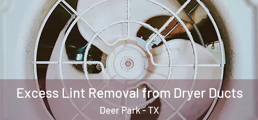 Excess Lint Removal from Dryer Ducts Deer Park - TX