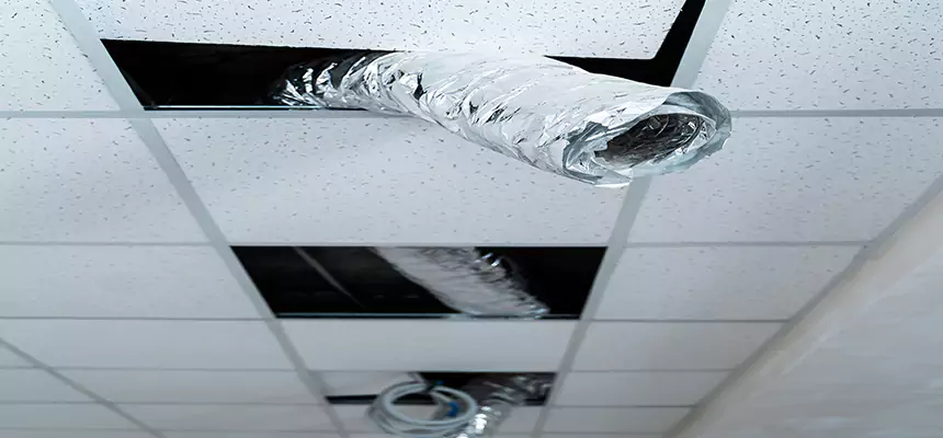 Our Air Duct Pet Hair Removal Services in Deer Park, TX