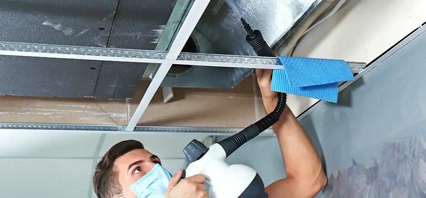 Our Air Duct Rodent Removal Services in Deer Park, TX