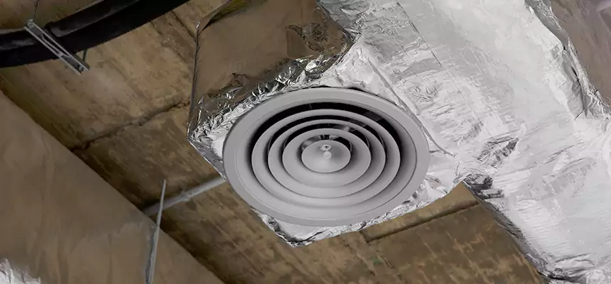 Our Excess Lint Removal from Dryer Ducts Services in Deer Park, TX