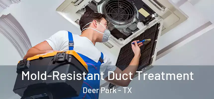  Mold-Resistant Duct Treatment Deer Park - TX