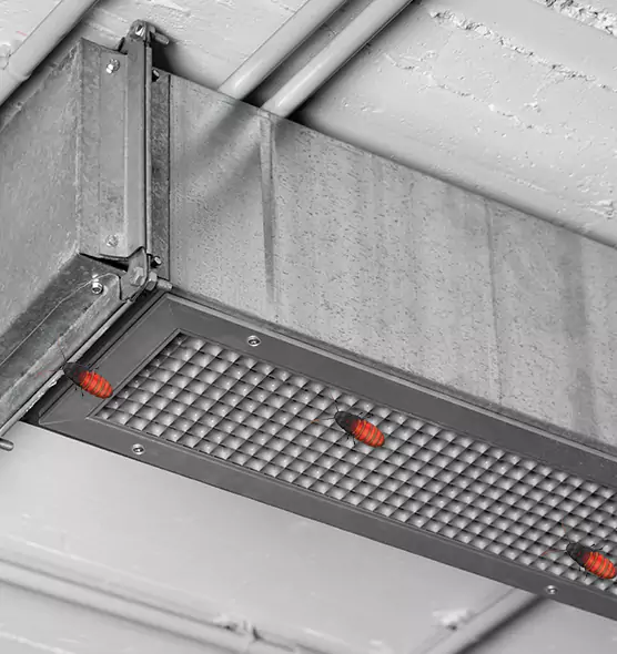 About Air Duct Cockroach Removal in Deer Park, TX