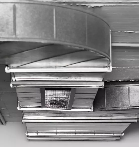 Professional Air Duct Pest Removal in Deer Park, TX