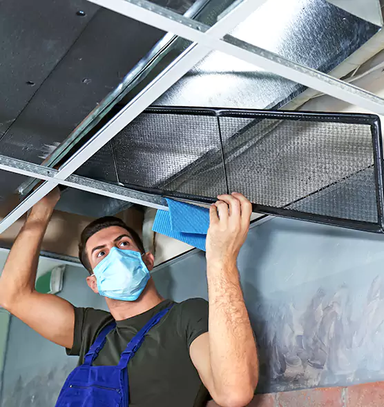 Professional Air Duct Pollen Cleaning in Deer Park, TX