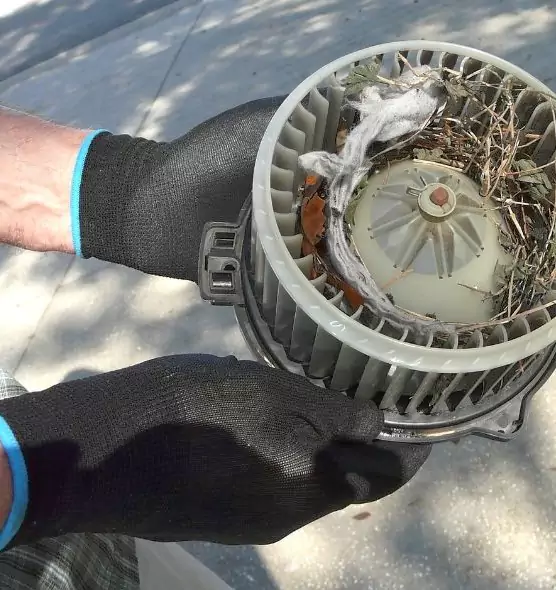 About Air Duct Rat Removal in Deer Park, TX