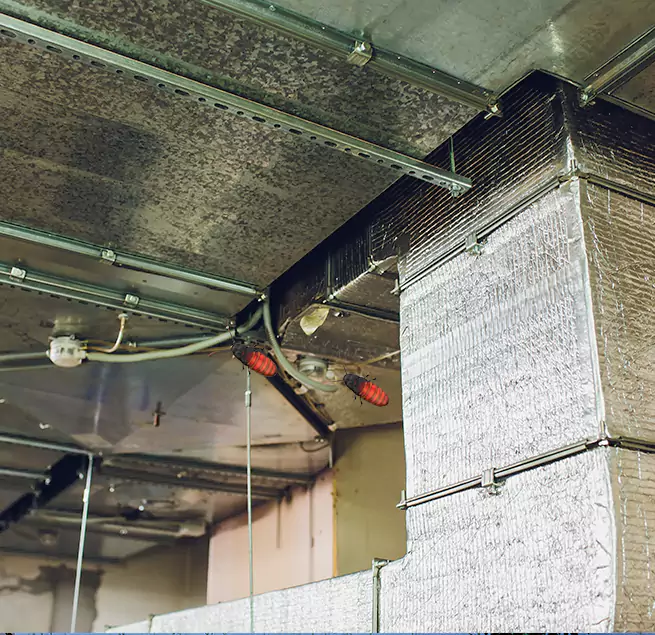 Why Homeowners & Businesses Trust Us in Deer Park, TX?