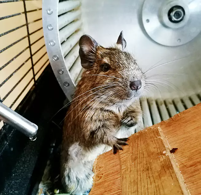 Why Homeowners & Businesses Trust Us Deer Park, TX