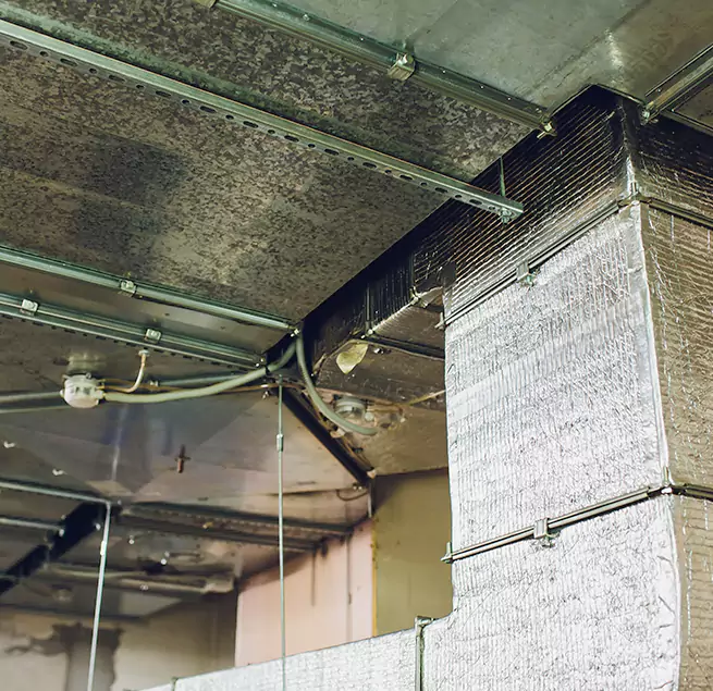 Why Homeowners & Businesses Trust Us in Deer Park, TX?